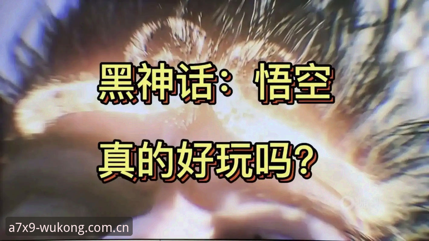 揭秘悟空体育使用感受安装失败背后的真相：版本兼容与设备适配深度解析